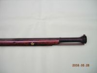 ���B���Q�̎ʐ^