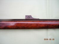 ���B���R�̎ʐ^